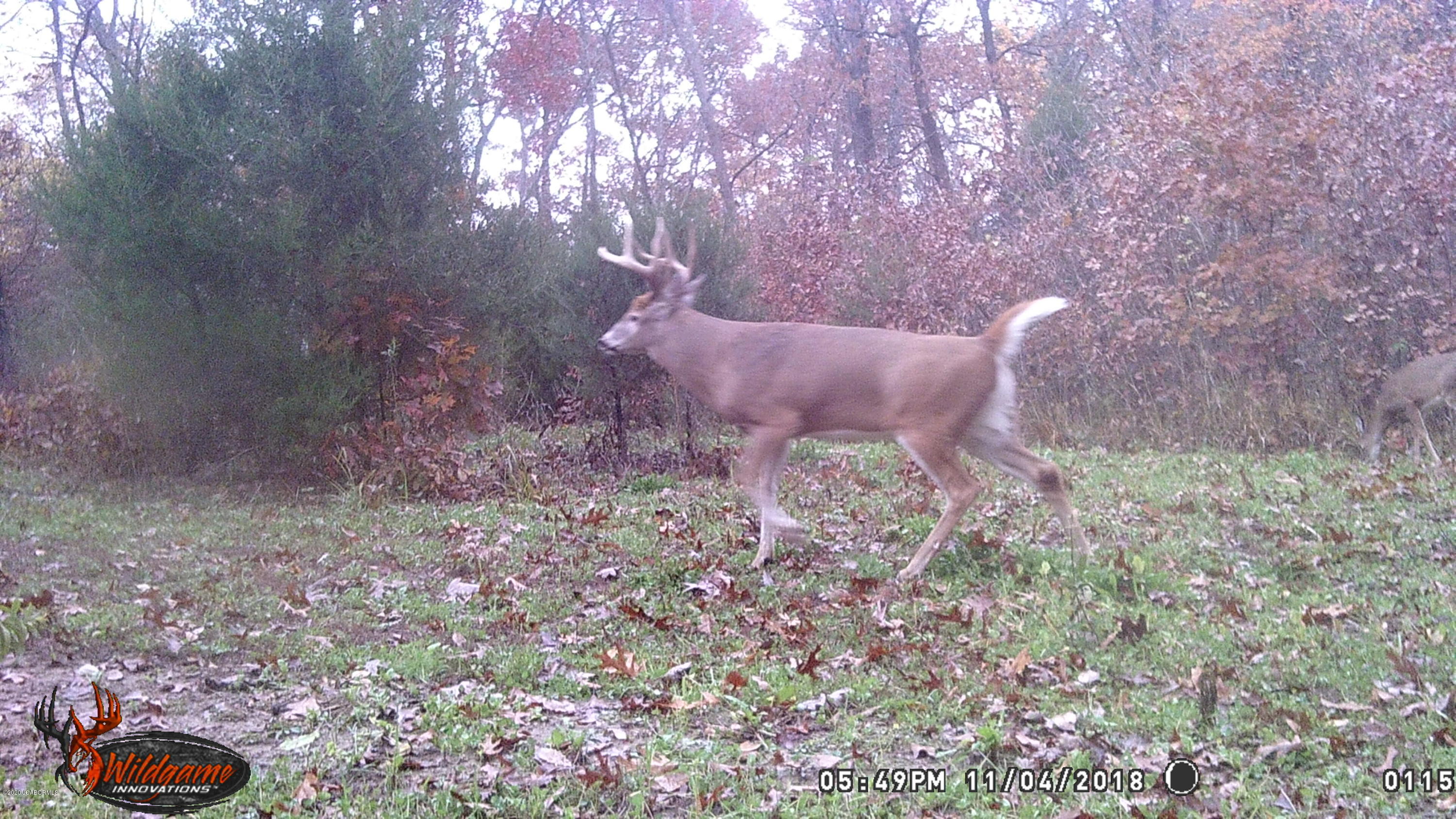 Tbd Paris Farm Road New Bloomfield, MO 65063 - Photo 8 of 9