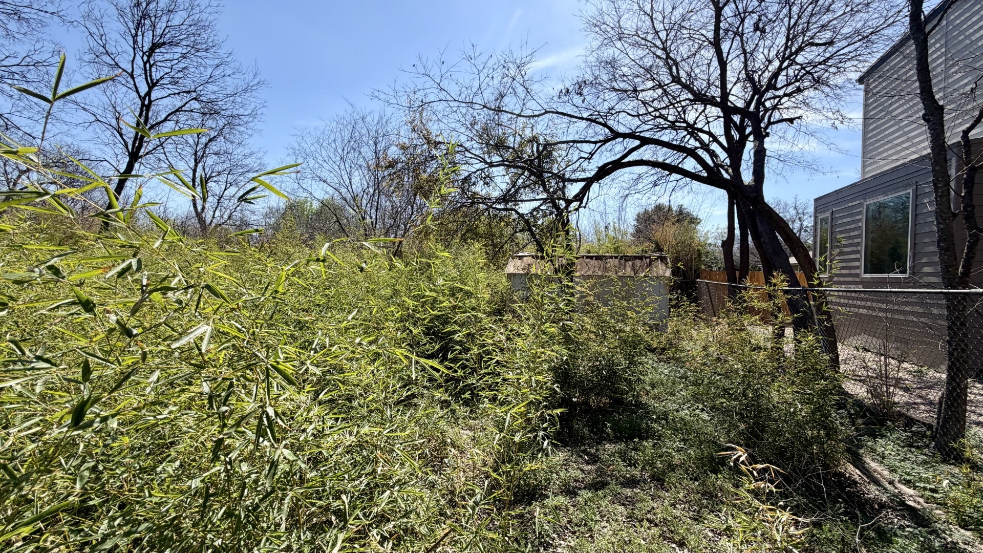 407 Middle Lane Austin, TX 78753 - Photo 13 of 17 View of yard