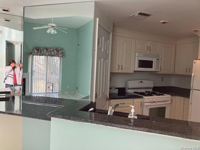 170 Schofield Street, Unit 2I Bronx, NY 10464 - Photo 10 of 17 a kitchen with granite countertop a sink a stove and a microwave
