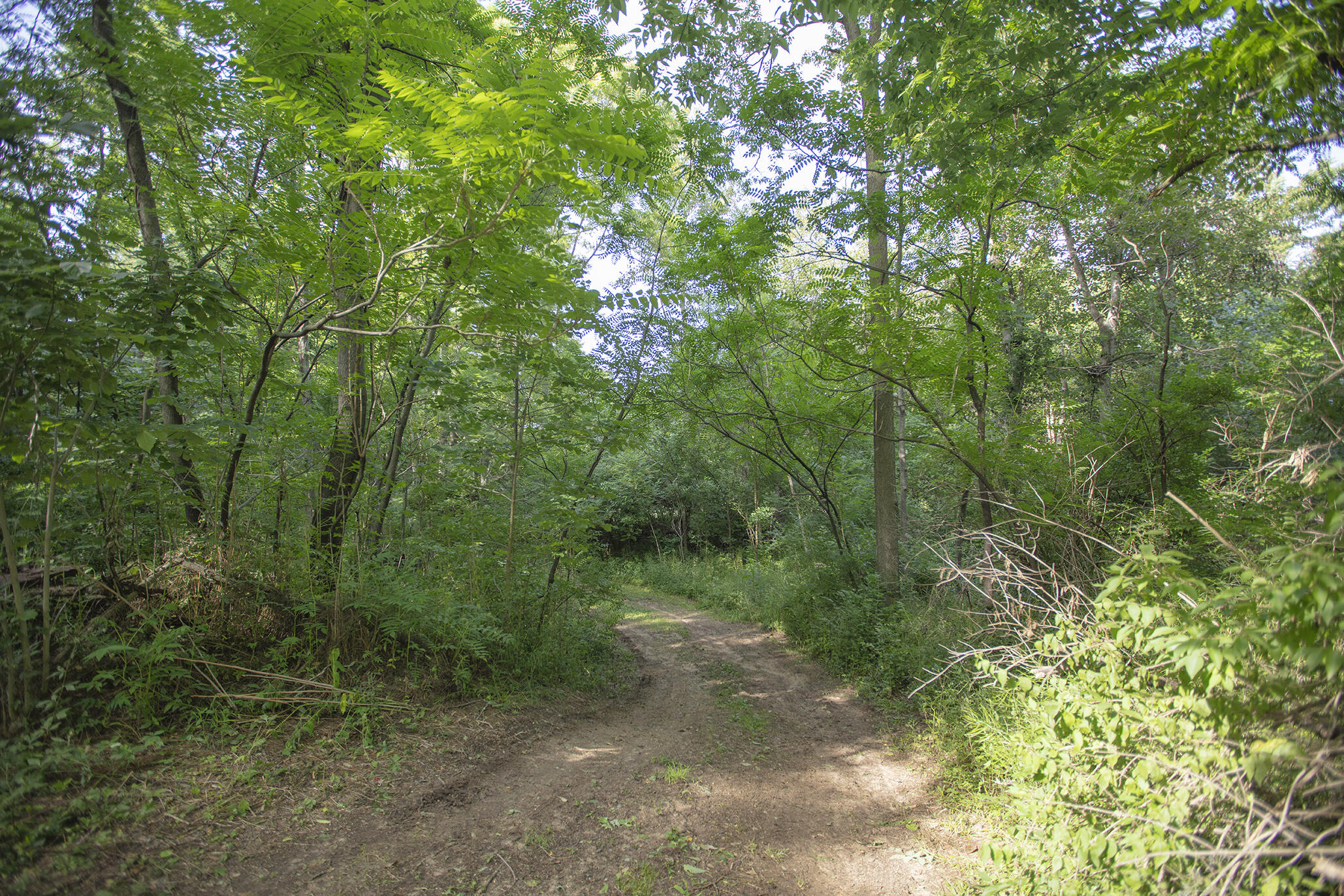 3001 East Riverside Road Buchanan, MI 49107 - Photo 22 of 36 0D6A8550