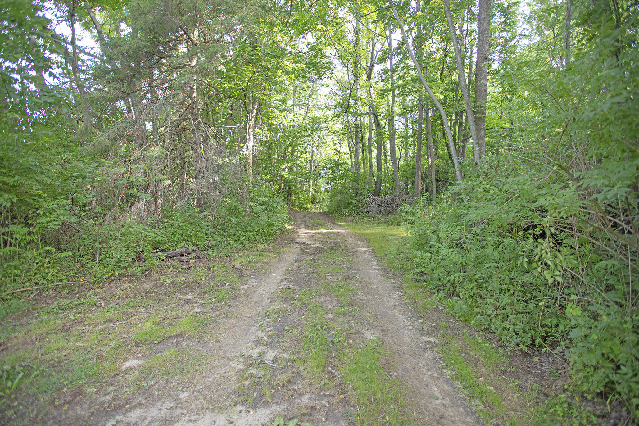 3001 East Riverside Road Buchanan, MI 49107 - Photo 27 of 36 0D6A8559