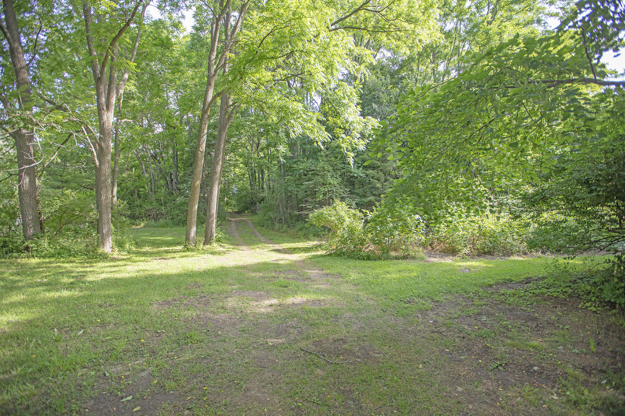 3001 East Riverside Road Buchanan, MI 49107 - Photo 28 of 36 0D6A8560