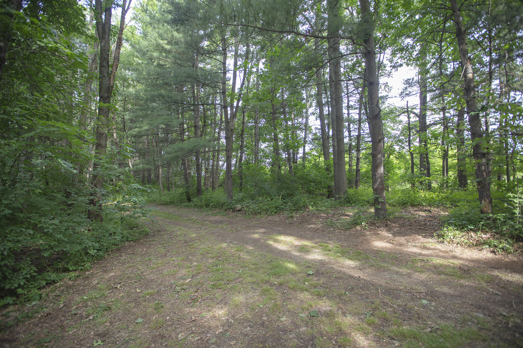3001 East Riverside Road Buchanan, MI 49107 - Photo 32 of 36 0D6A8646