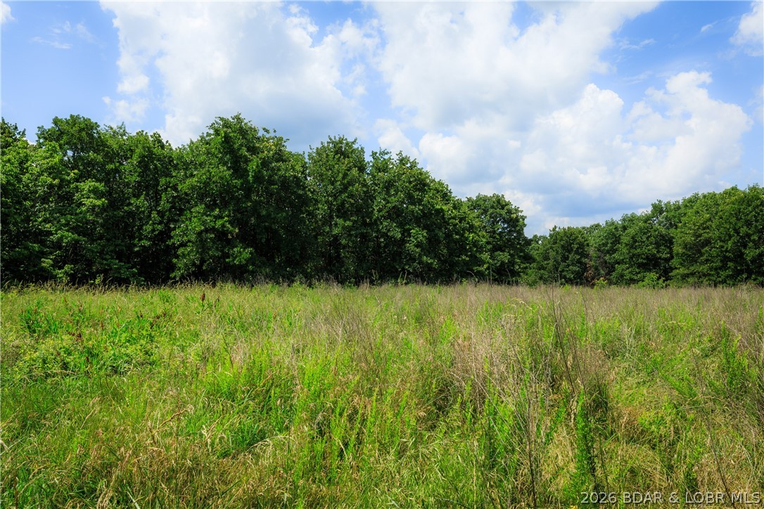 400 Hidden Acres Road Camdenton, MO 65020 - Photo 3 of 39