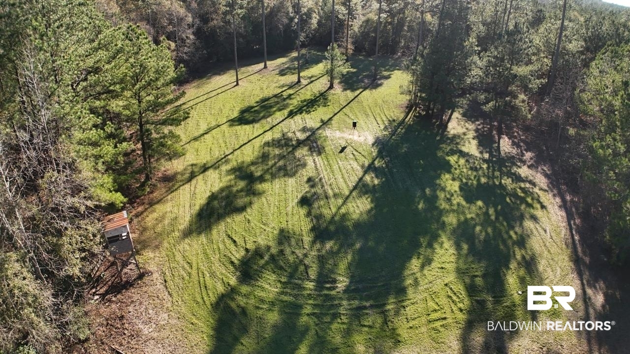 11808 Abb Road Tibbie, AL 36583 - Photo 13 of 31 Drone / aerial view with a forest view