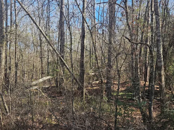 $105,000 | 0 Red Road, Shepherd, TX 77371