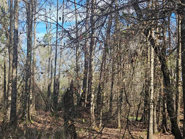 $105,000 | 0 Red Road, Shepherd, TX 77371