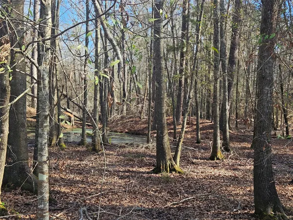 $105,000 | 0 Red Road, Shepherd, TX 77371