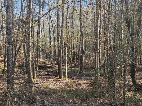 $105,000 | 0 Red Road, Shepherd, TX 77371