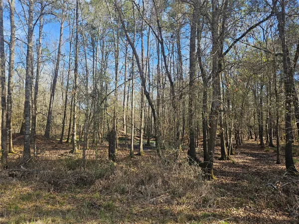 $105,000 | 0 Red Road, Shepherd, TX 77371