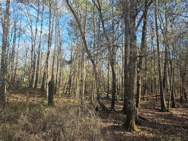 $105,000 | 0 Red Road, Shepherd, TX 77371