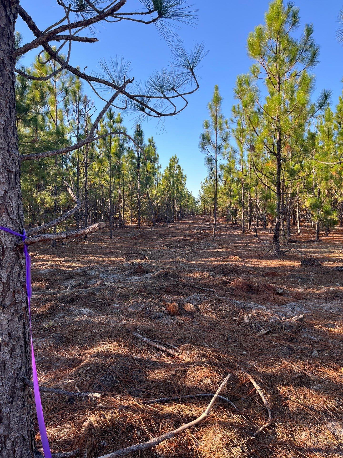 26-Oct 15 2025 09_20pm-otwv