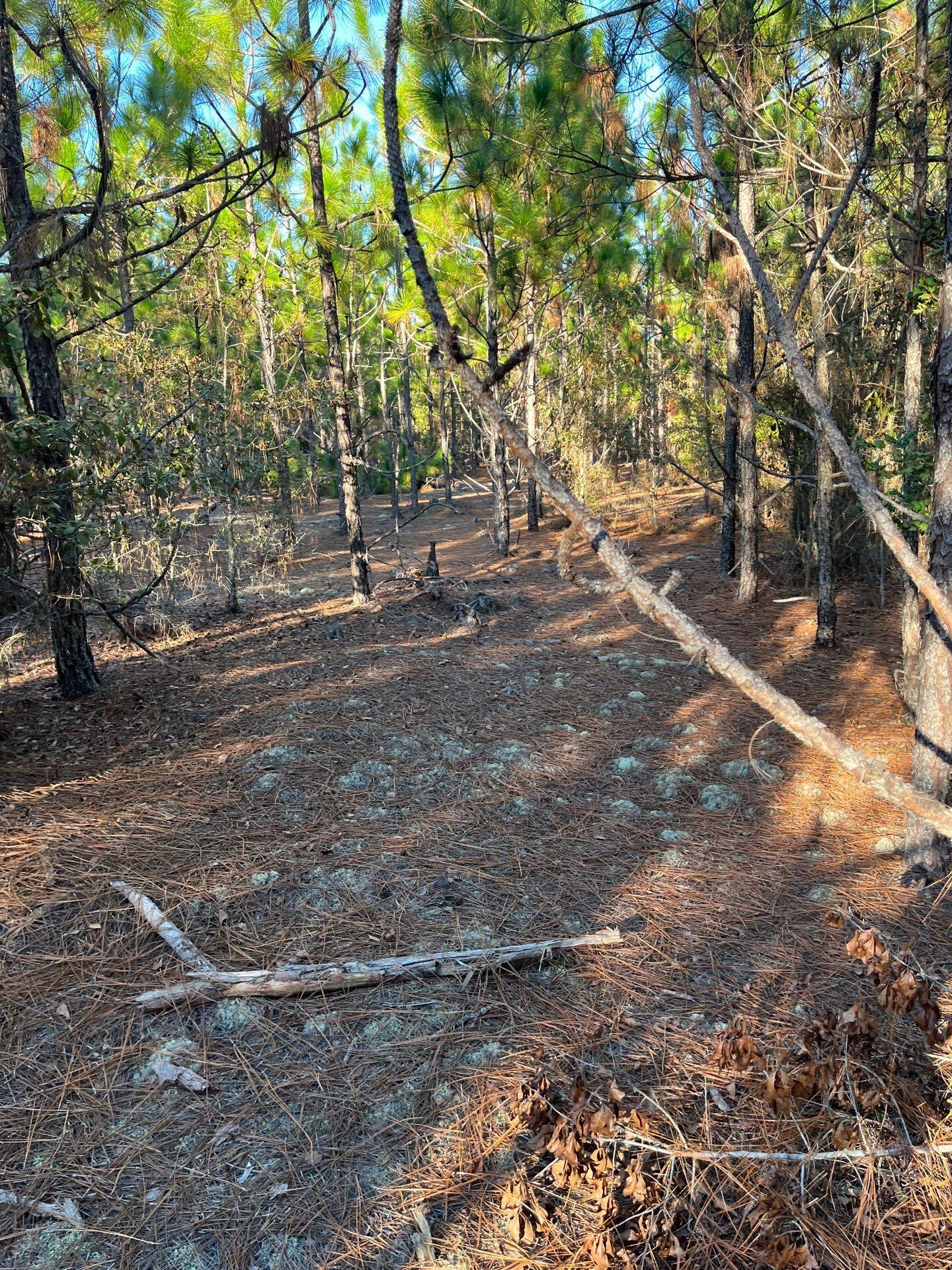 14 Payne Pond Road, Unit PPF 14 Kershaw, SC 29067 - Photo 11 of 26 16-Oct 15 2025 09_17pm-gob3