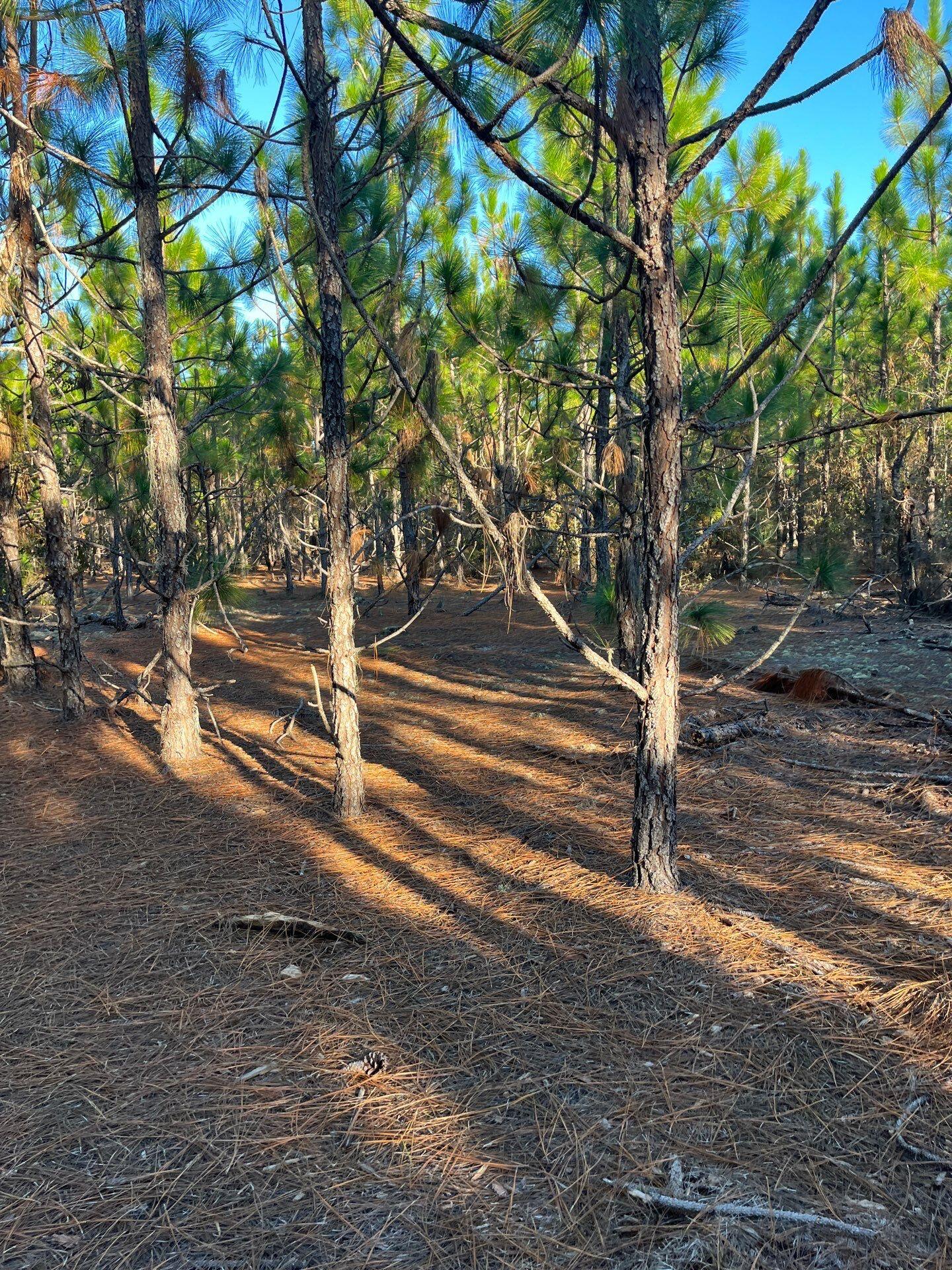 14 Payne Pond Road, Unit PPF 14 Kershaw, SC 29067 - Photo 12 of 26 15-Oct 15 2025 09_17pm-eqU7