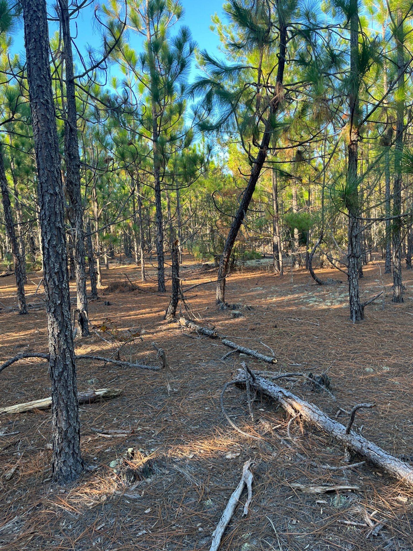 14 Payne Pond Road, Unit PPF 14 Kershaw, SC 29067 - Photo 13 of 26 14-Oct 15 2025 09_17pm-M1ns