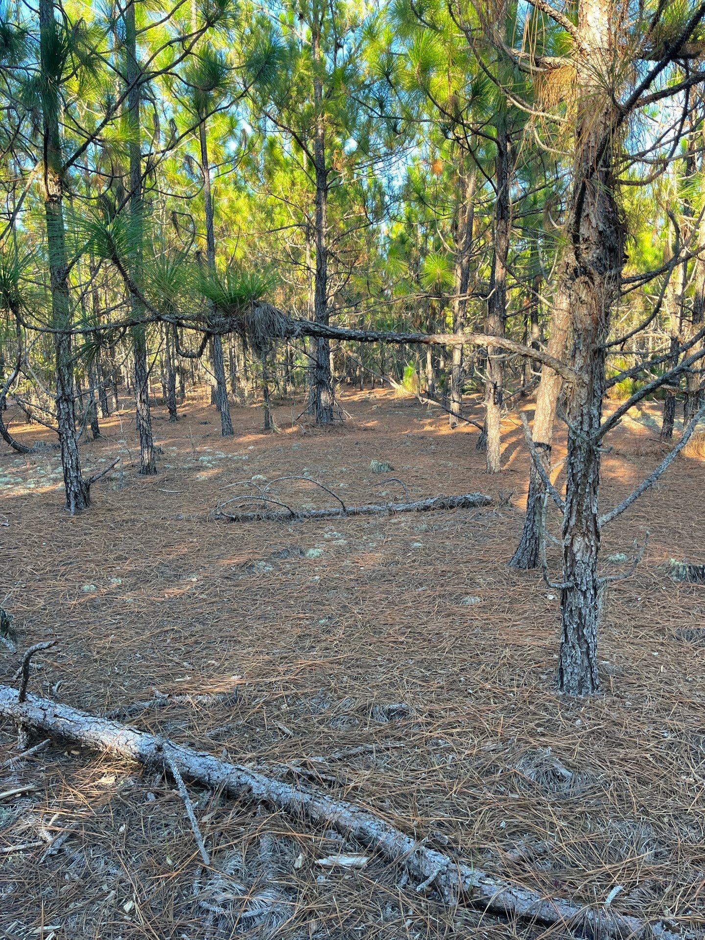 14 Payne Pond Road, Unit PPF 14 Kershaw, SC 29067 - Photo 14 of 26 13-Oct 15 2025 09_17pm-CWWC