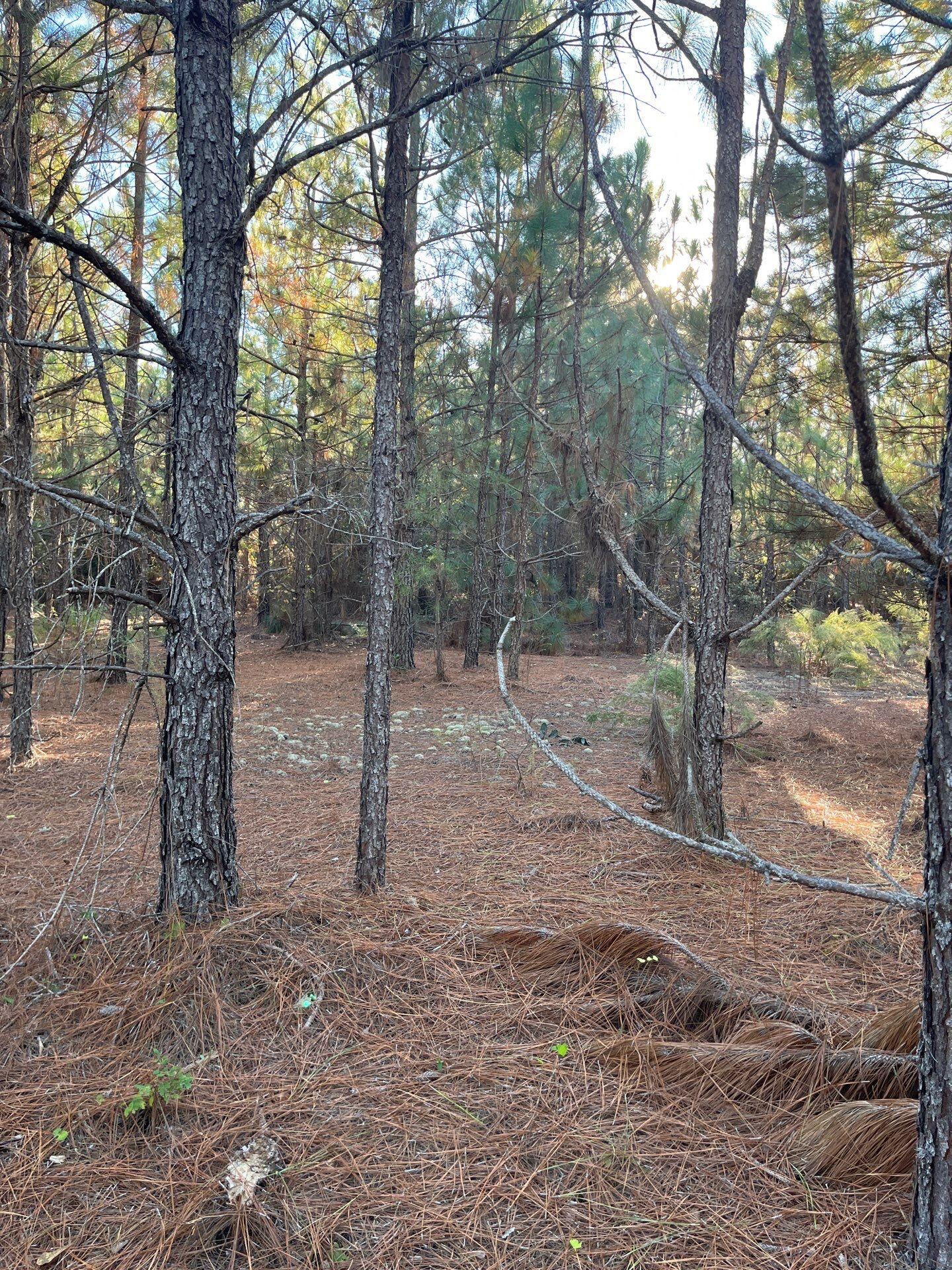 14 Payne Pond Road, Unit PPF 14 Kershaw, SC 29067 - Photo 15 of 26 12-Oct 15 2025 09_16pm-QLKQ