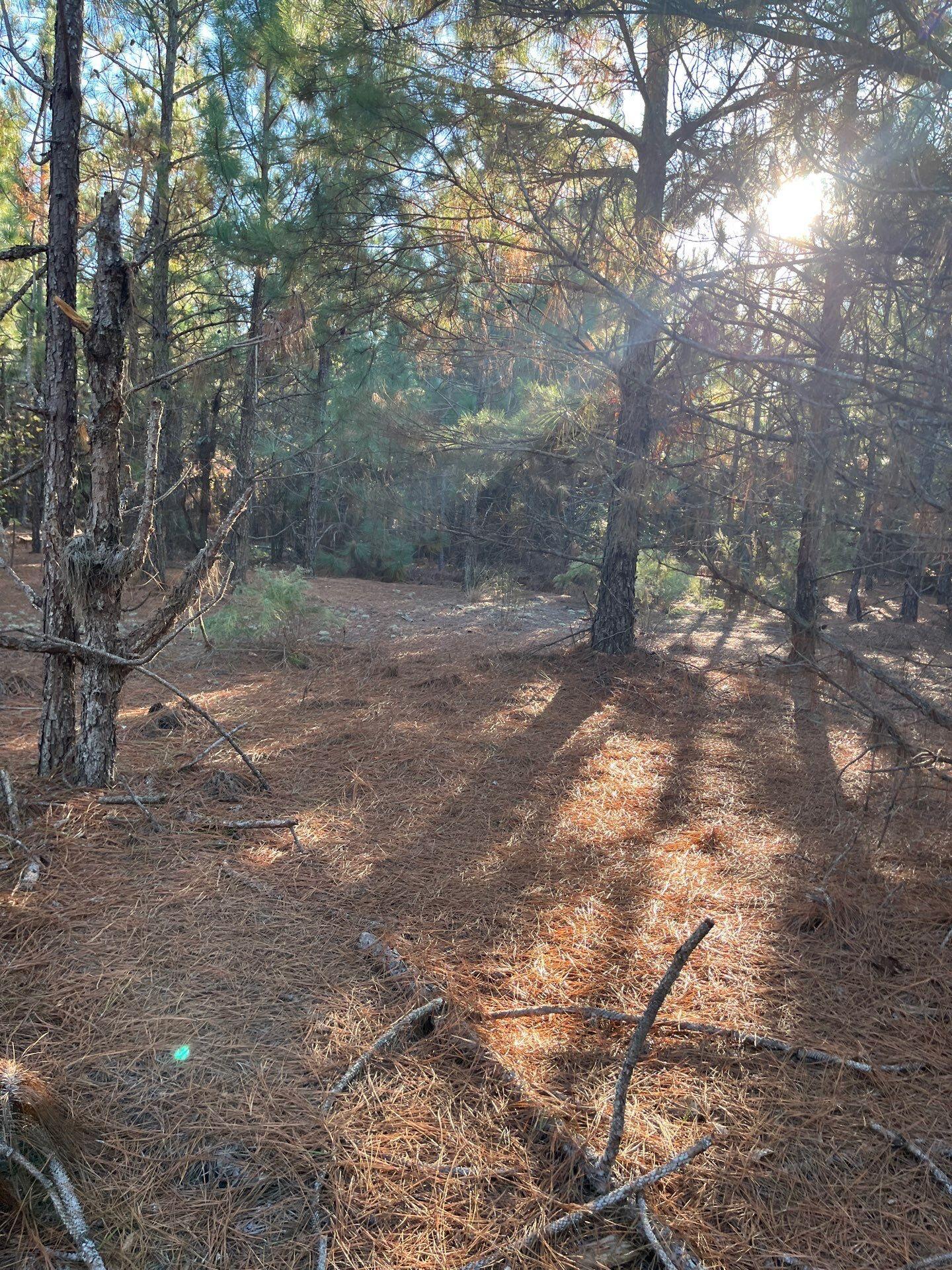 14 Payne Pond Road, Unit PPF 14 Kershaw, SC 29067 - Photo 16 of 26 11-Oct 15 2025 09_16pm-BSje