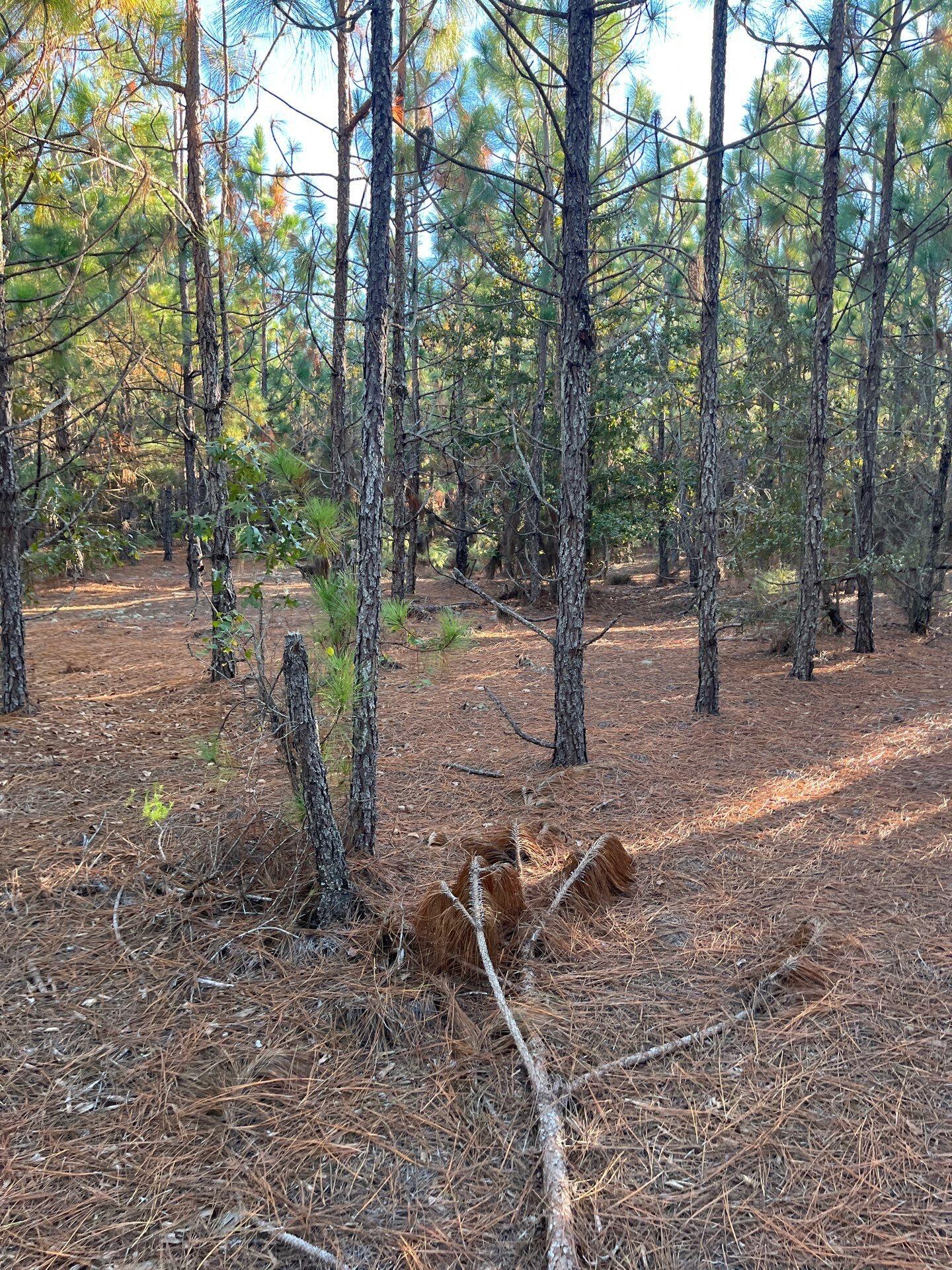 14 Payne Pond Road, Unit PPF 14 Kershaw, SC 29067 - Photo 17 of 26 10-Oct 15 2025 09_16pm-q58s