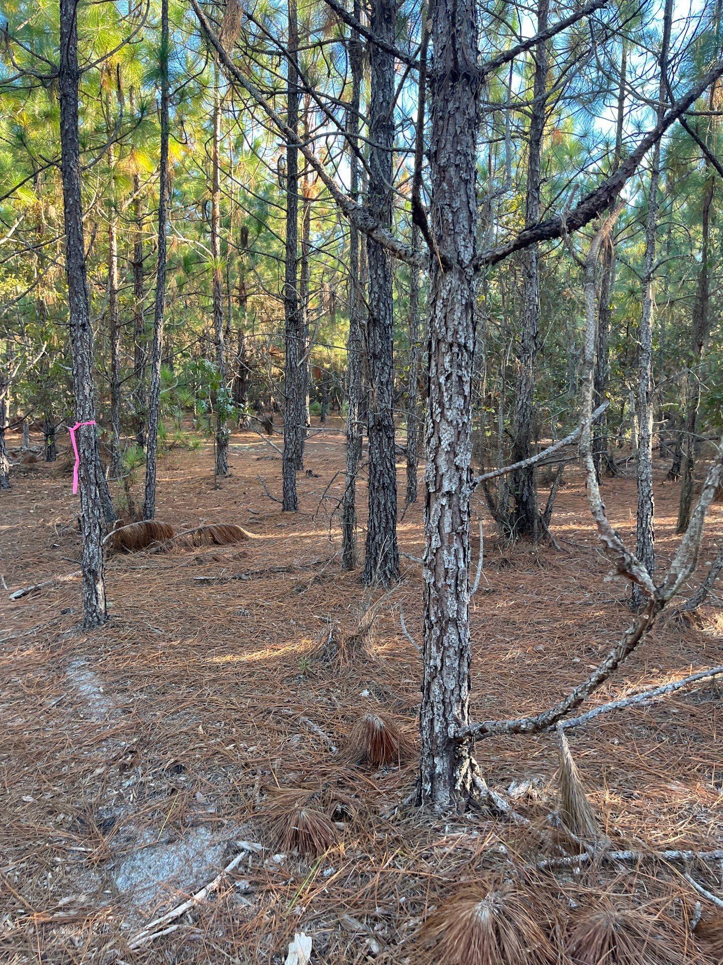 14 Payne Pond Road, Unit PPF 14 Kershaw, SC 29067 - Photo 18 of 26 9-Oct 15 2025 09_16pm-7GCe