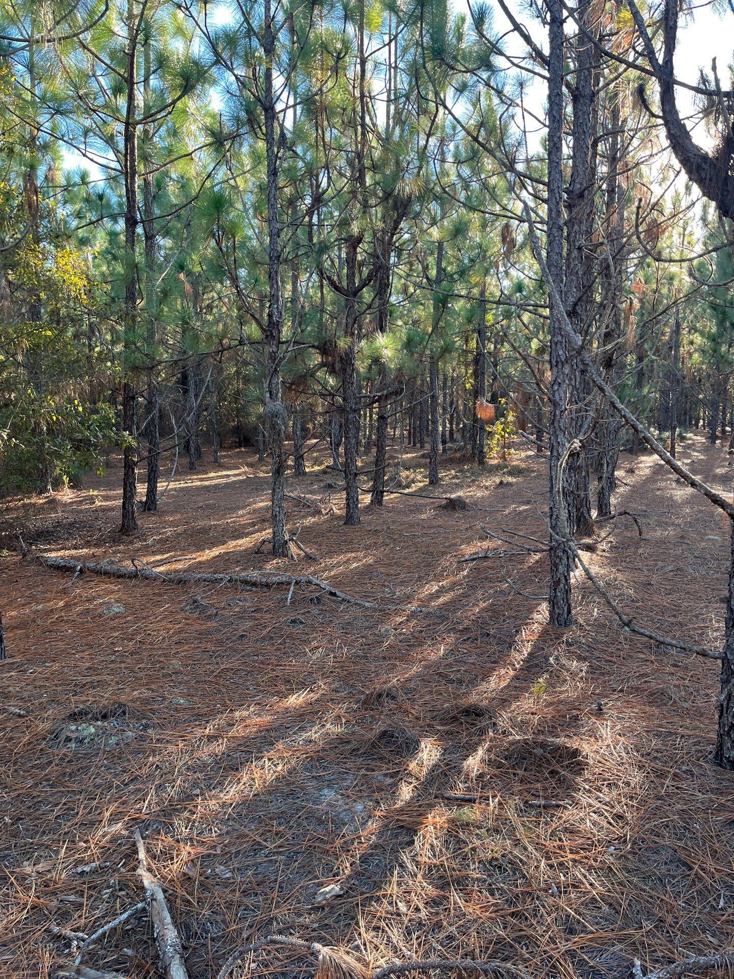 14 Payne Pond Road, Unit PPF 14 Kershaw, SC 29067 - Photo 19 of 26 8-Oct 15 2025 09_16pm-ajwd