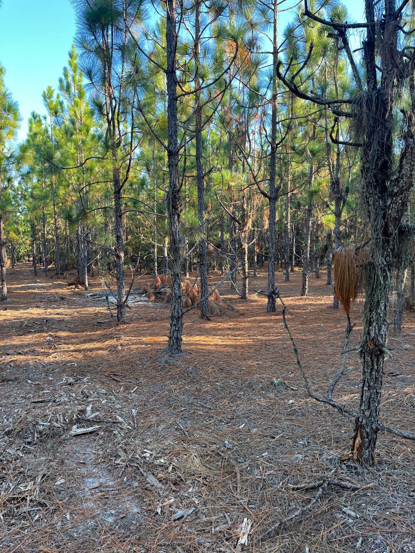 14 Payne Pond Road, Unit PPF 14 Kershaw, SC 29067 - Photo 20 of 26 7-Oct 15 2025 09_15pm-sV9x