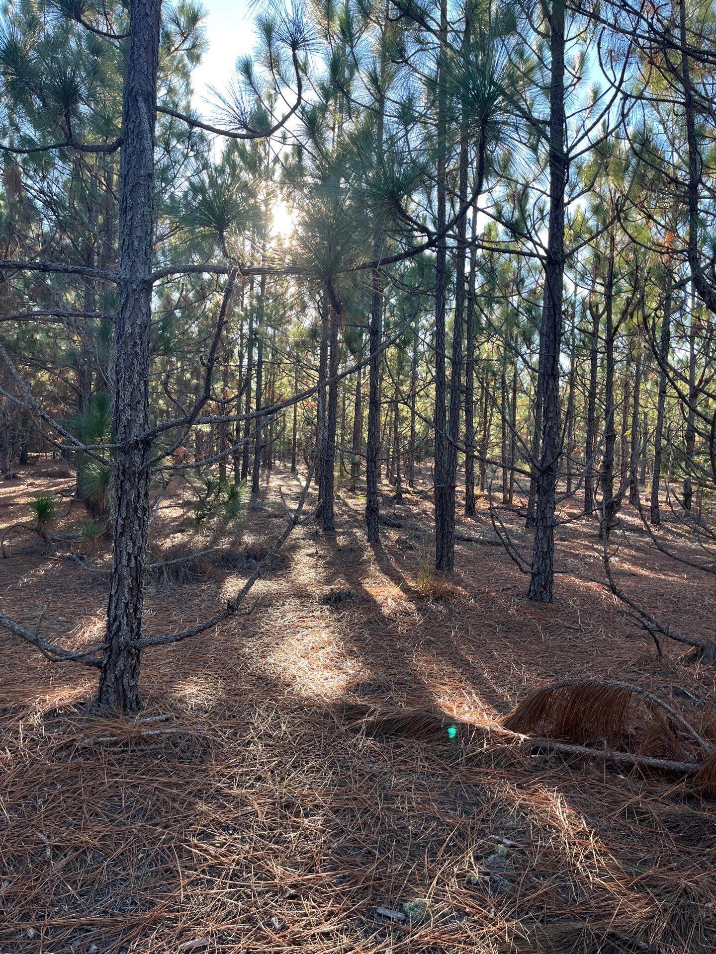 14 Payne Pond Road, Unit PPF 14 Kershaw, SC 29067 - Photo 22 of 26 5-Oct 15 2025 09_15pm-LQ4g