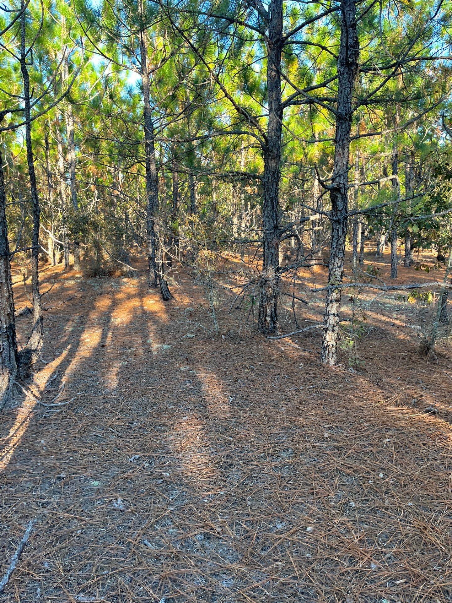 14 Payne Pond Road, Unit PPF 14 Kershaw, SC 29067 - Photo 24 of 26 3-Oct 15 2025 09_15pm-VjiL