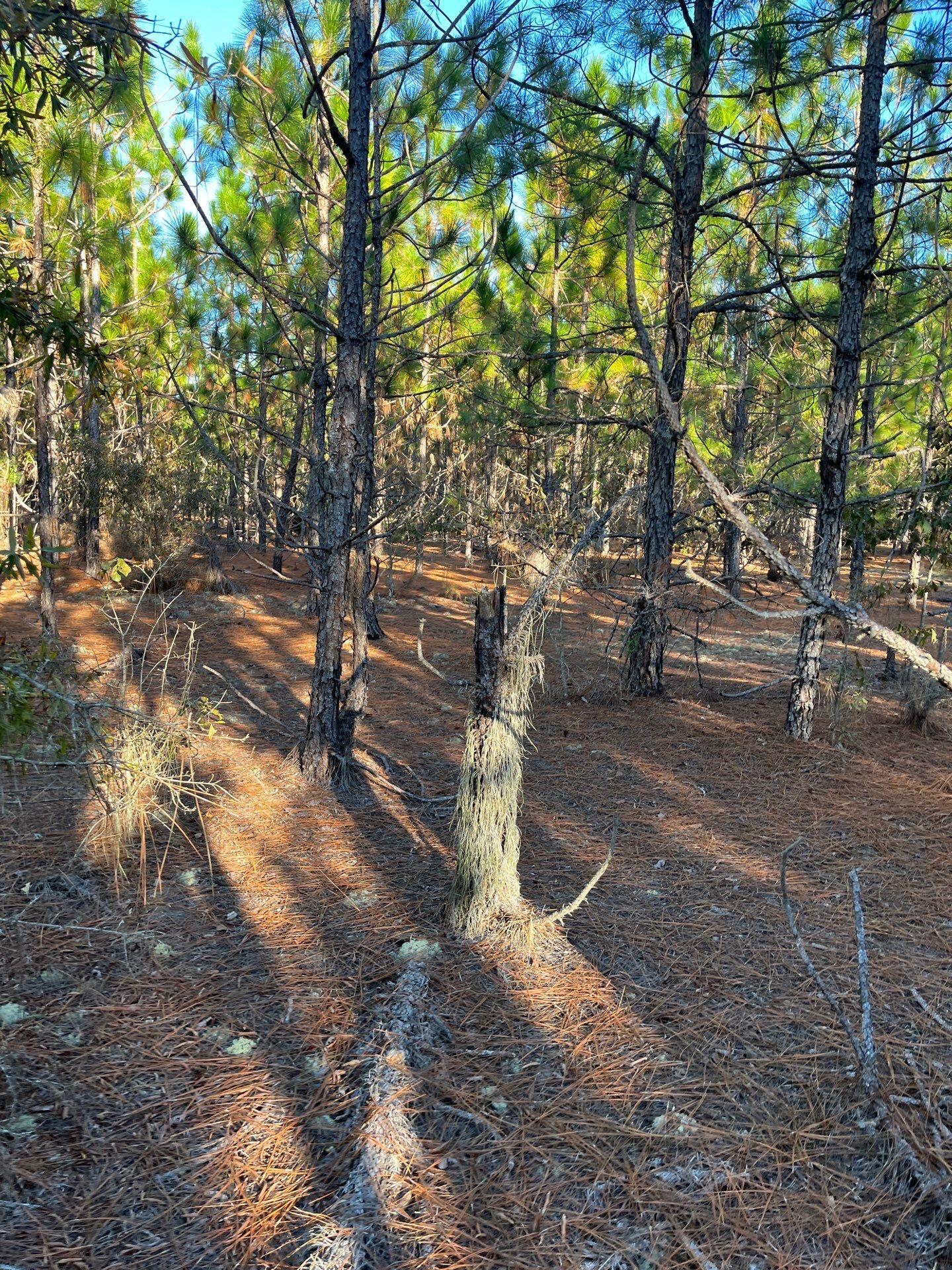 14 Payne Pond Road, Unit PPF 14 Kershaw, SC 29067 - Photo 25 of 26 2-Oct 15 2025 09_15pm-tmLm