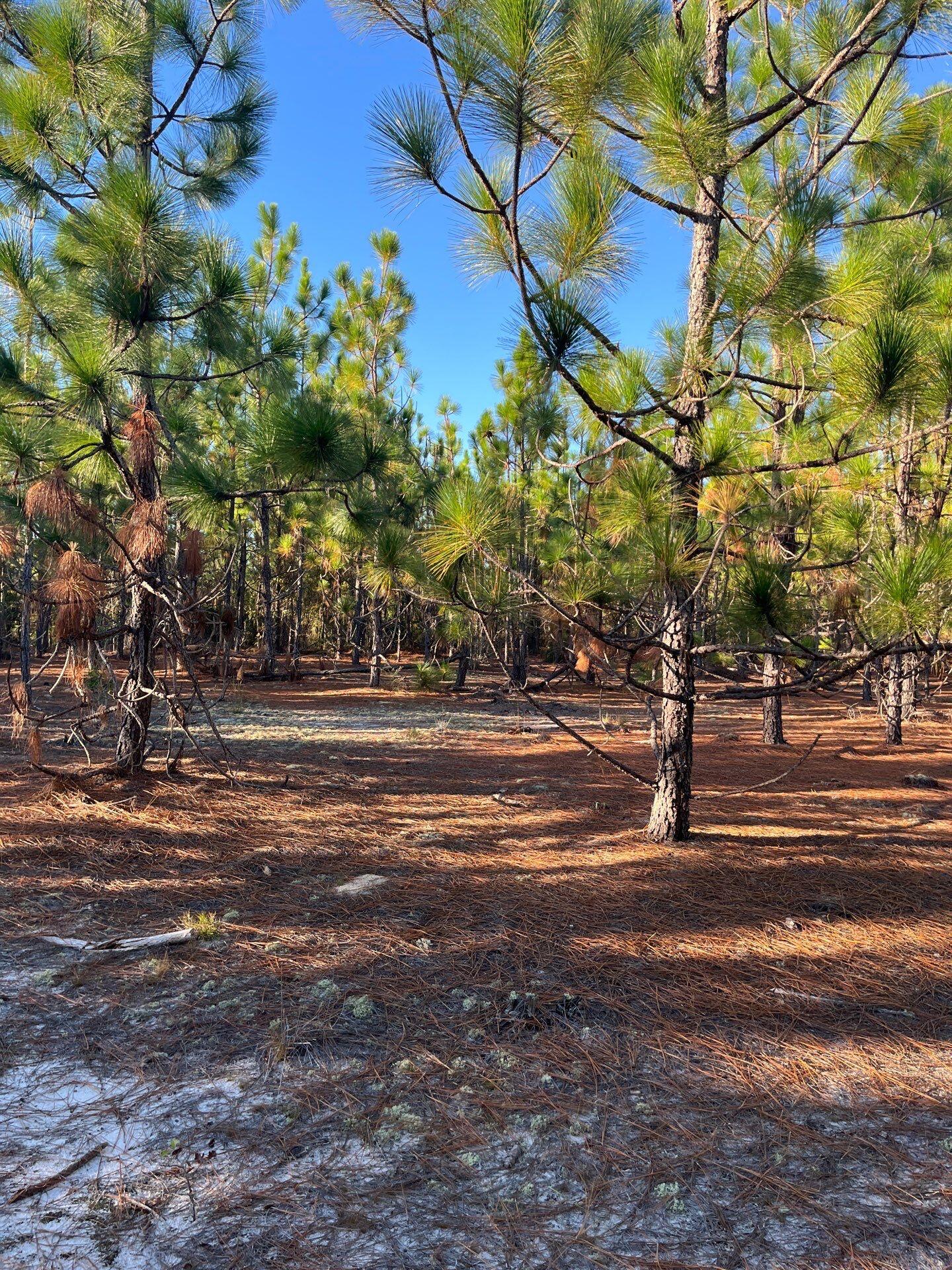 14 Payne Pond Road, Unit PPF 14 Kershaw, SC 29067 - Photo 26 of 26 1-Oct 15 2025 09_15pm-xyRn