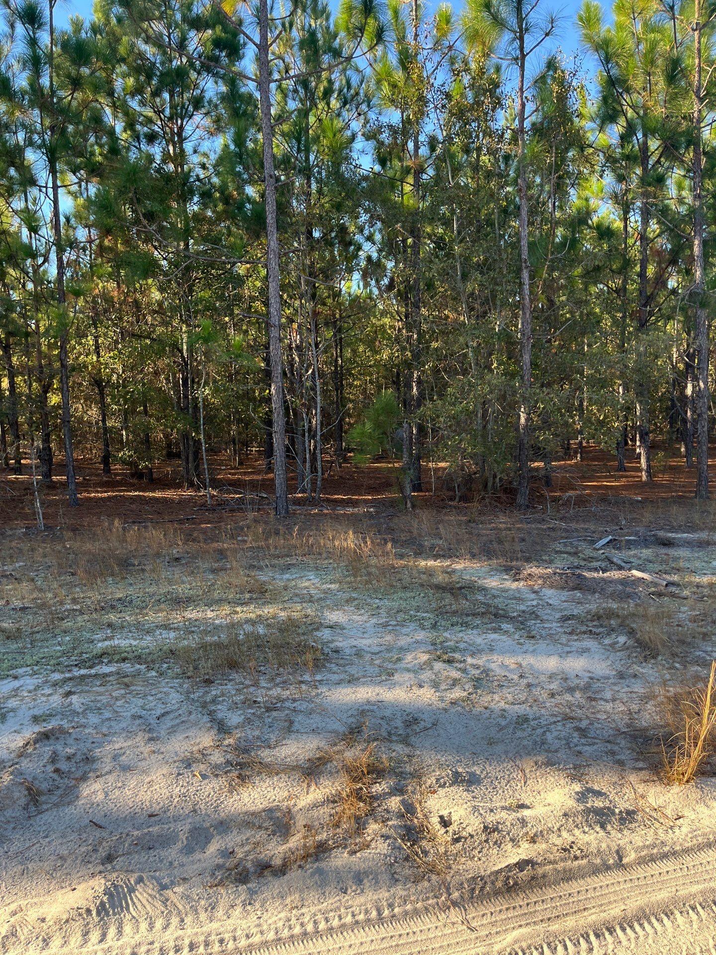 14 Payne Pond Road, Unit PPF 14 Kershaw, SC 29067 - Photo 3 of 26 24-Oct 15 2025 09_19pm-ofos