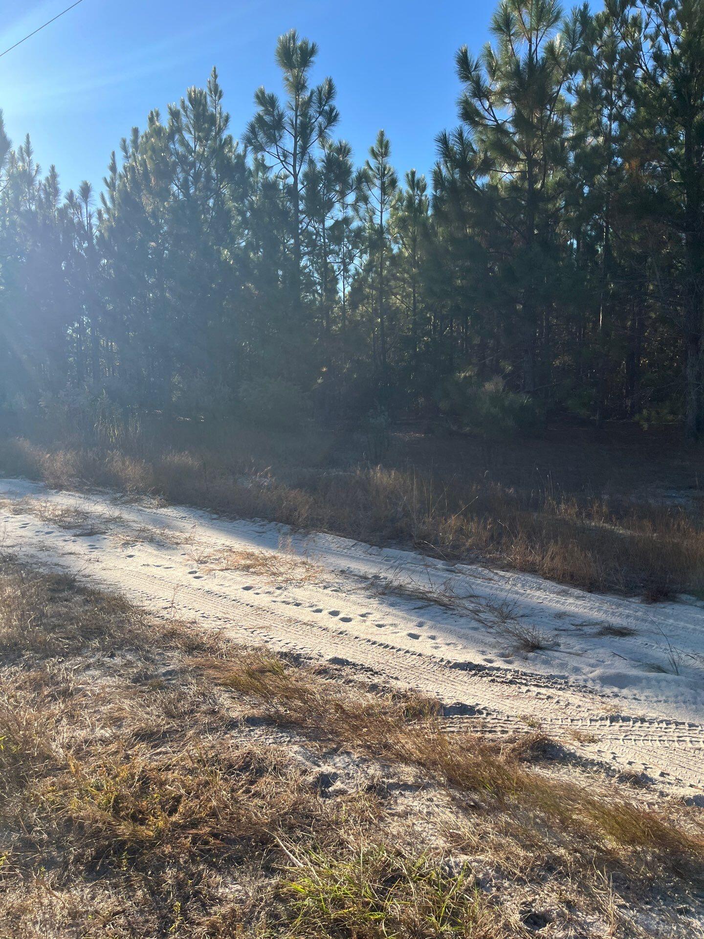 14 Payne Pond Road, Unit PPF 14 Kershaw, SC 29067 - Photo 4 of 26 23-Oct 15 2025 09_18pm-EiNs