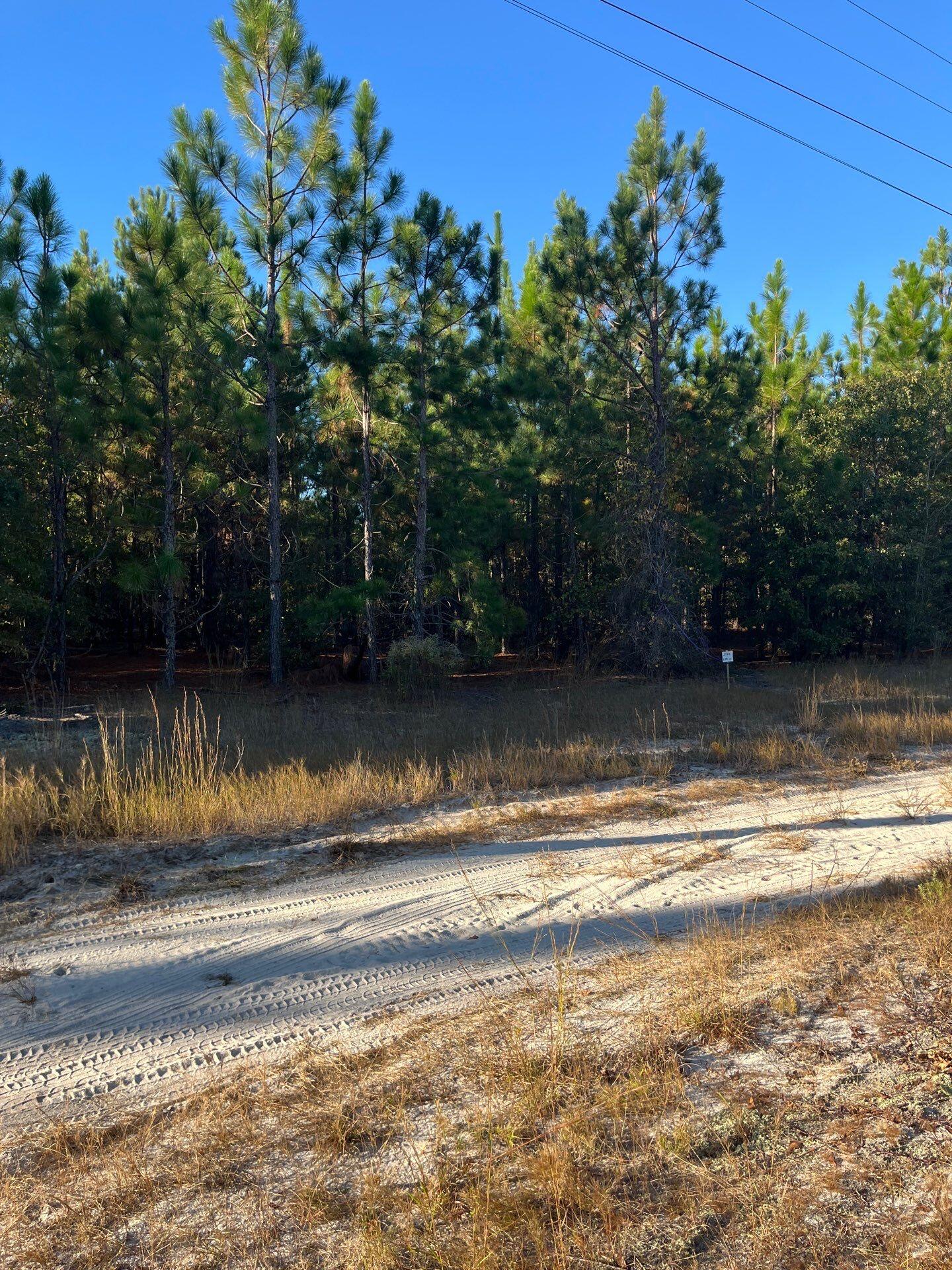 14 Payne Pond Road, Unit PPF 14 Kershaw, SC 29067 - Photo 5 of 26 22-Oct 15 2025 09_18pm-NRxF