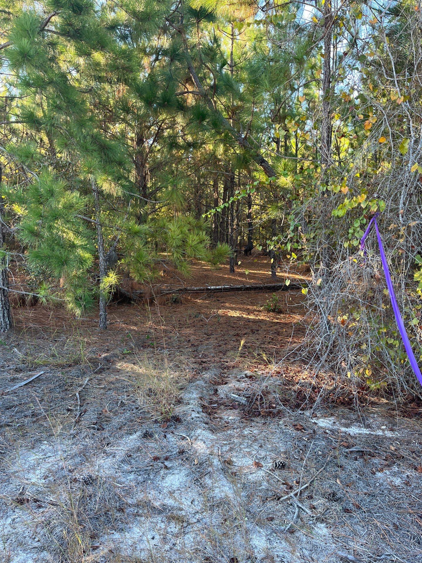 14 Payne Pond Road, Unit PPF 14 Kershaw, SC 29067 - Photo 6 of 26 21-Oct 15 2025 09_18pm-boxR