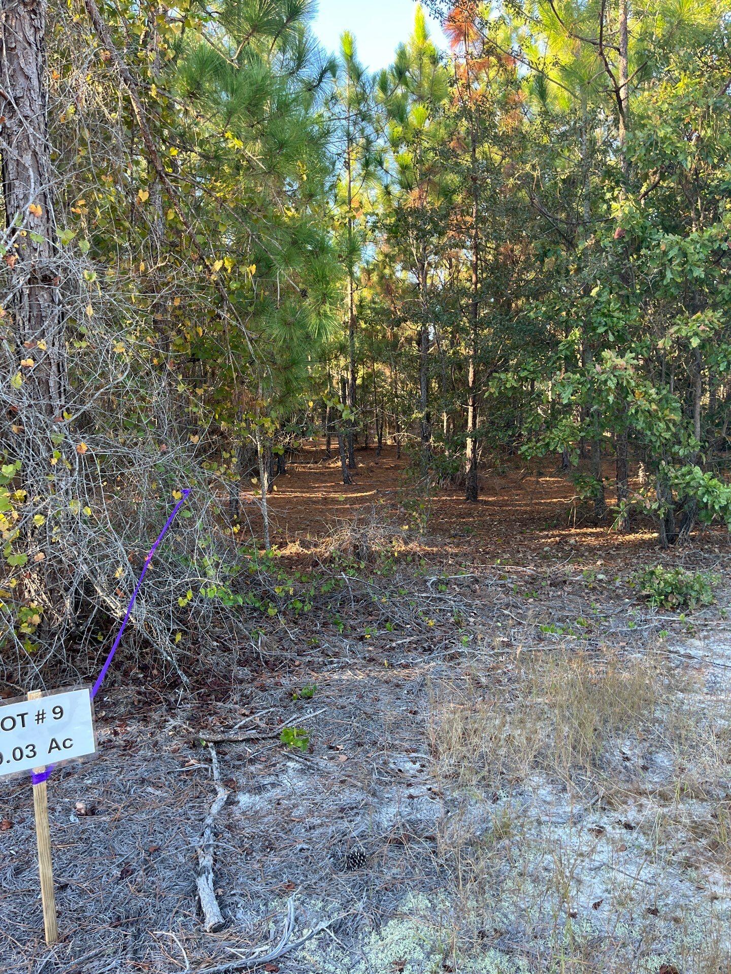 14 Payne Pond Road, Unit PPF 14 Kershaw, SC 29067 - Photo 7 of 26 20-Oct 15 2025 09_18pm-ZXsE