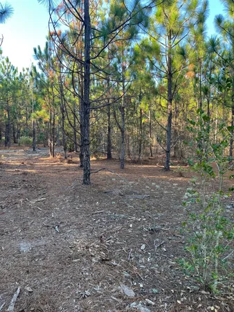 $164,800 | 14 Payne Pond Road, Unit PPF 14, Kershaw, SC 29067