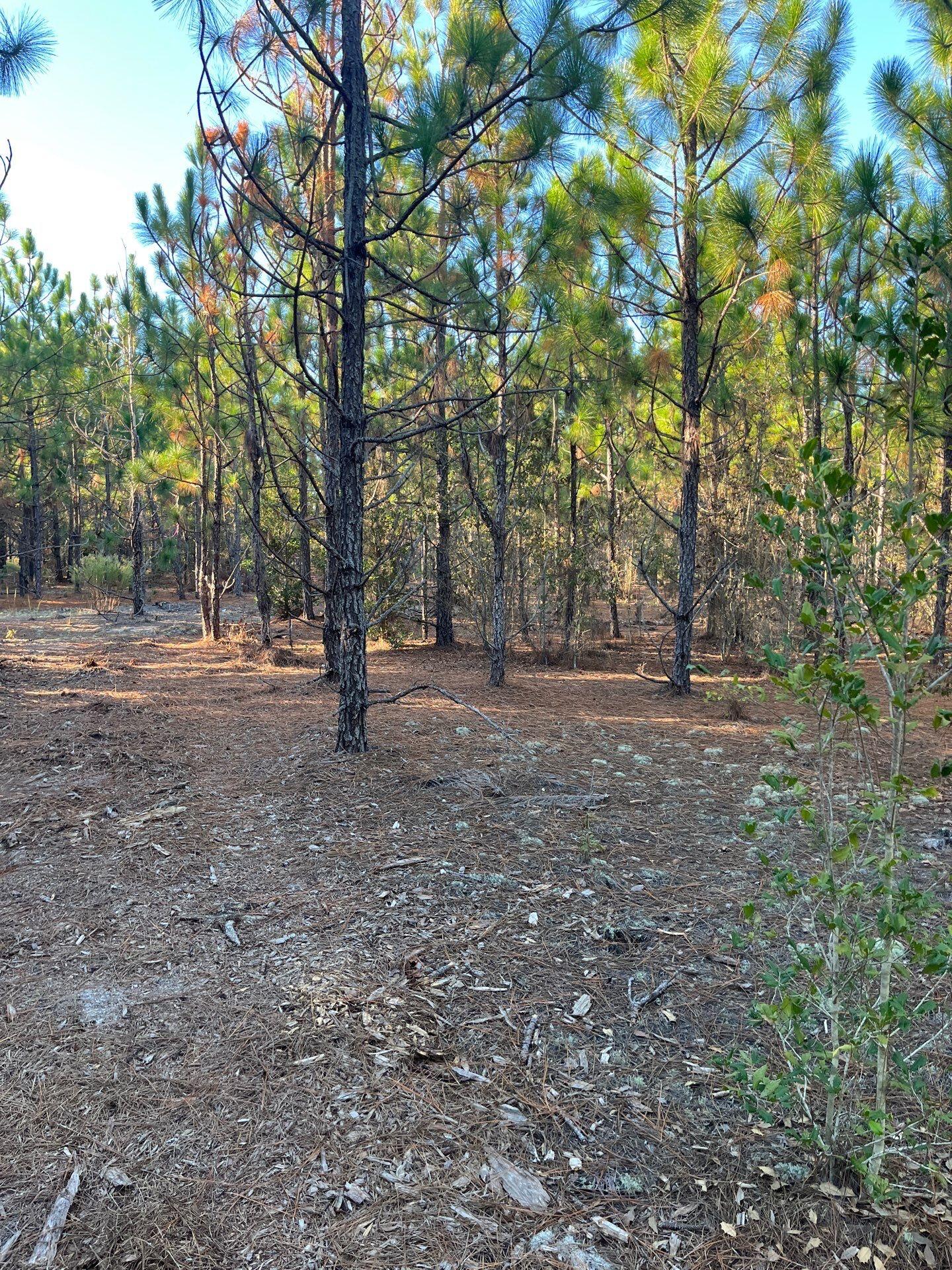 14 Payne Pond Road, Unit PPF 14 Kershaw, SC 29067 - Photo 8 of 26 19-Oct 15 2025 09_17pm-gSkv