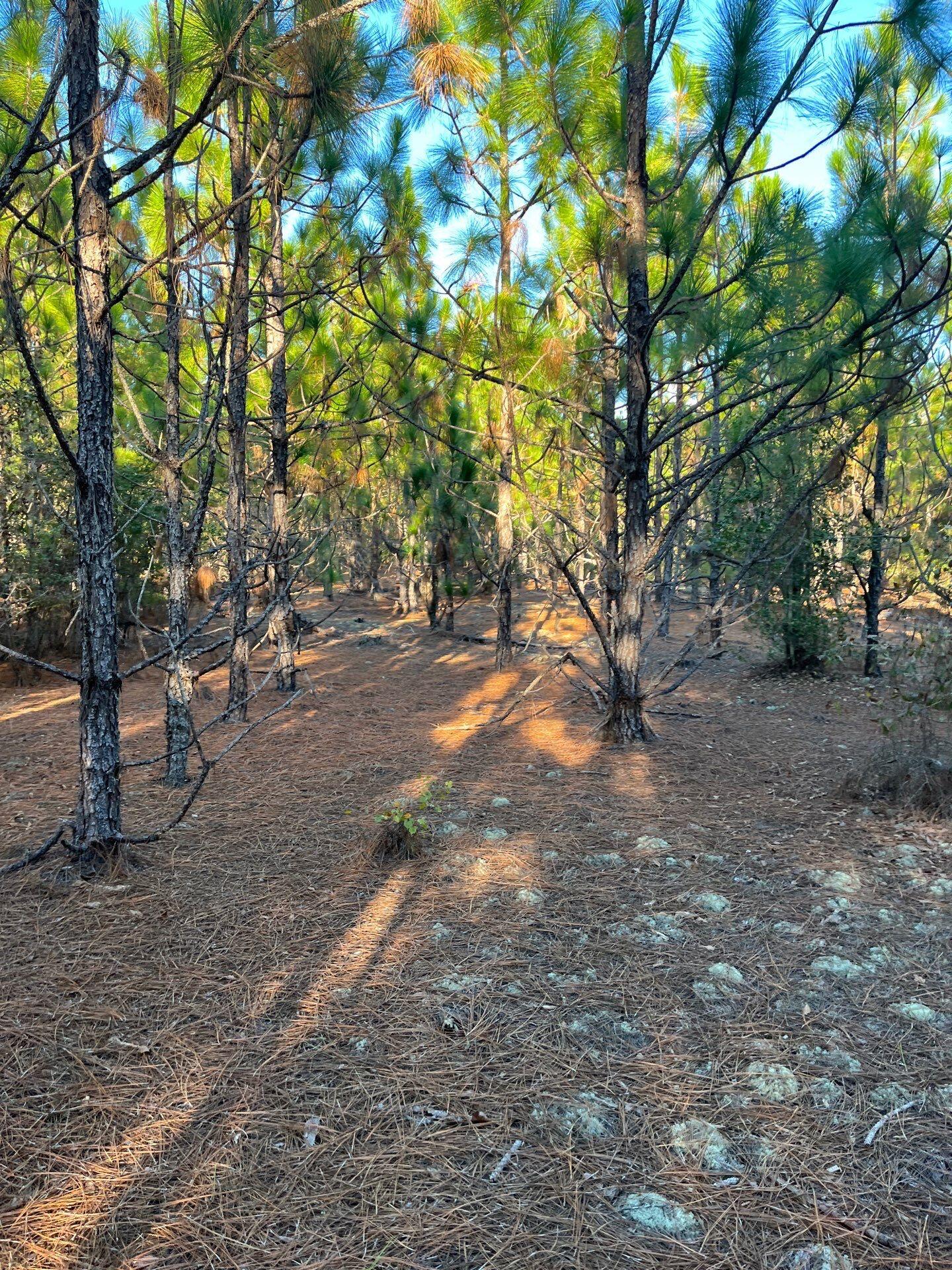 14 Payne Pond Road, Unit PPF 14 Kershaw, SC 29067 - Photo 10 of 26 17-Oct 15 2025 09_17pm-HWwx