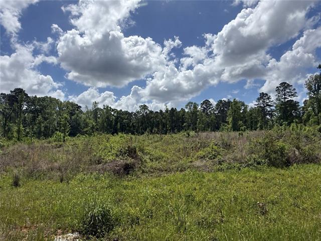 0 Newsome Road Center Point, LA 71323 - Photo 1 of 2