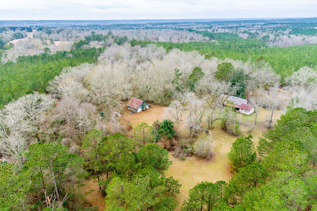 2048 Matthews Road Tylertown, MS 39667 - Photo 26 of 34 Photo 26