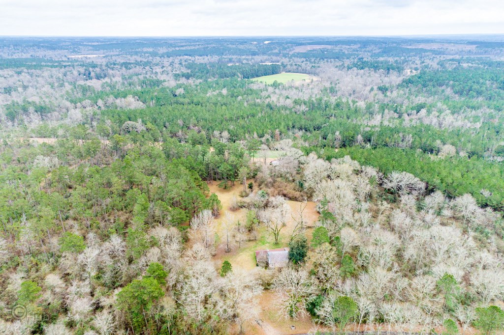 2048 Matthews Road Tylertown, MS 39667 - Photo 30 of 34 Photo 30
