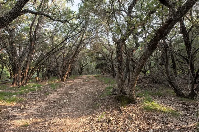 a view of a yard with a tree