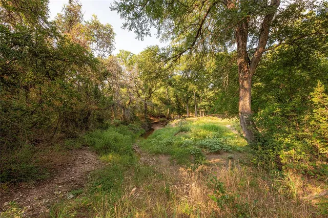 a view of outdoor space and trees