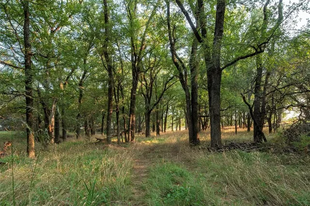 a view of outdoor space with trees