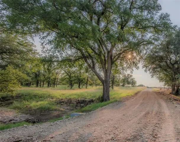 a view of dirt yard with a tree