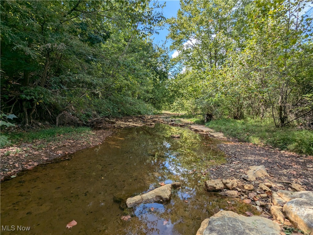 1 County Road Rayland, OH 43943 - Photo 8 of 32 Gallery Image 8