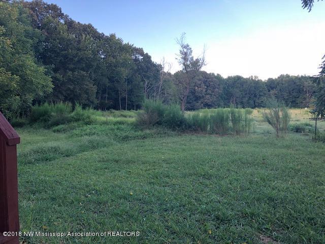 1456 North Slayden Road Lamar, MS 38642 - Photo 27 of 34 IMG_4040