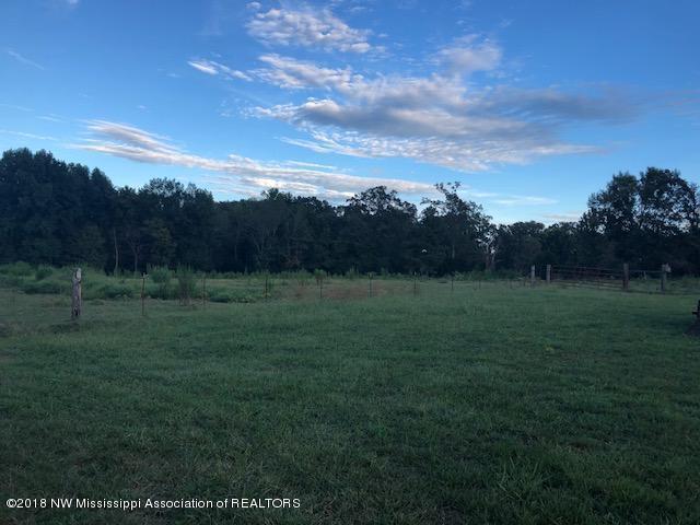 1456 North Slayden Road Lamar, MS 38642 - Photo 28 of 34 IMG_4042