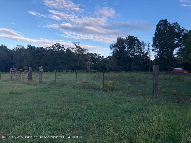 1456 North Slayden Road Lamar, MS 38642 - Photo 29 of 34 IMG_4043