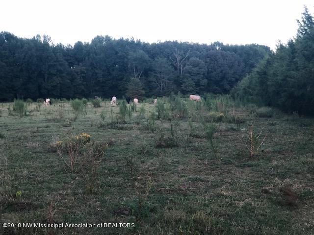 1456 North Slayden Road Lamar, MS 38642 - Photo 30 of 34 IMG_4049